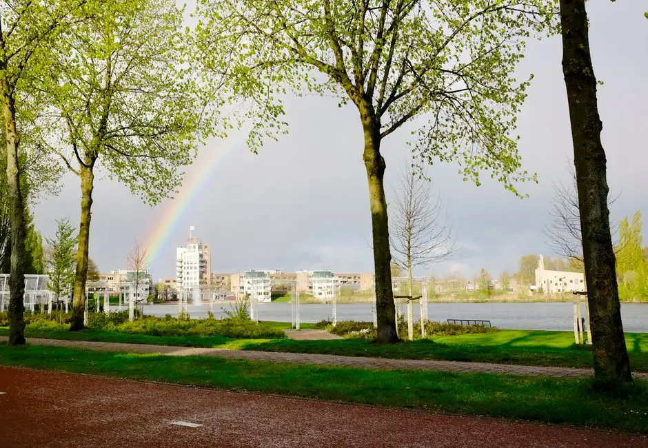 Webhosting NL+BE in Amersfoort